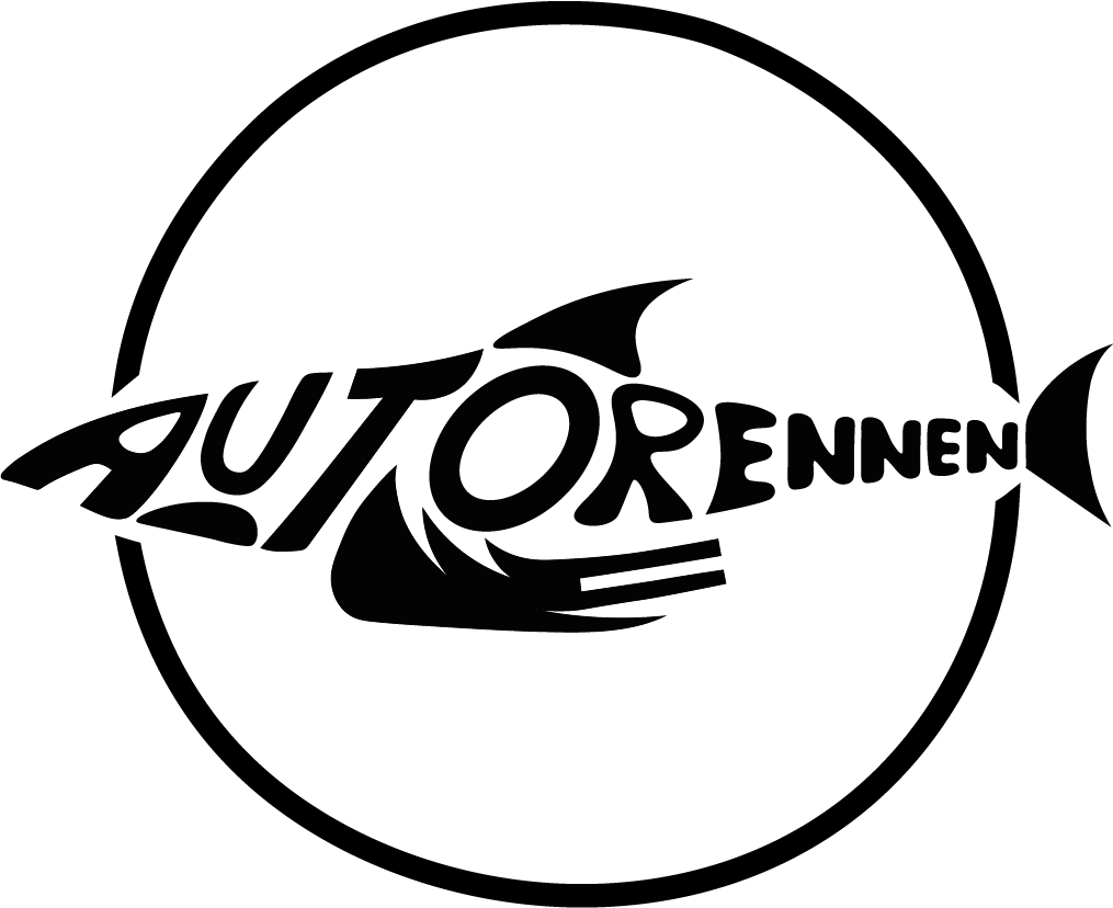 playground.dev-wp.de